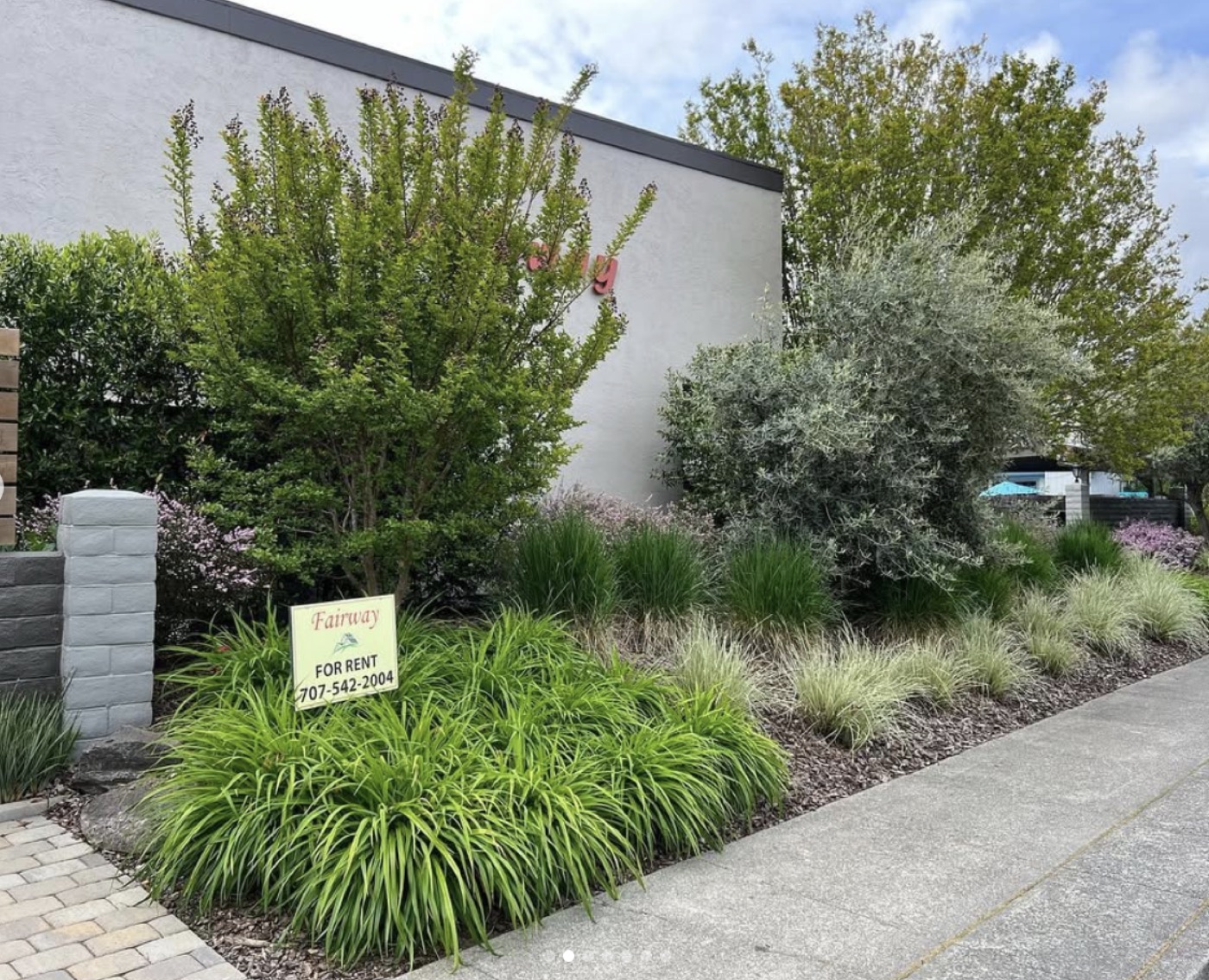 Layered commercial planting bed with ornamental grasses