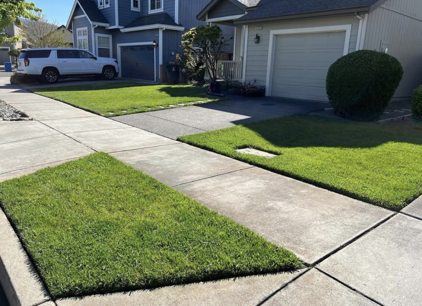 Freshly edged green lawns at neighboring homes
